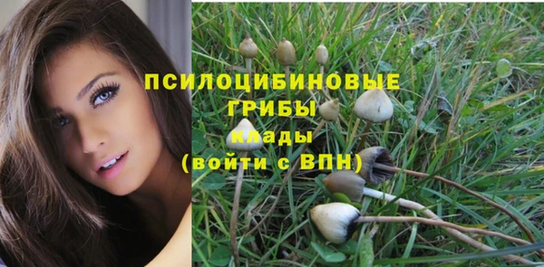 spice Алексеевка