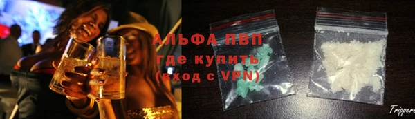 ECSTASY Алзамай