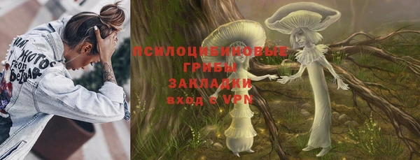 ECSTASY Алзамай