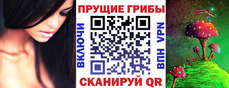 Галлюциногенные грибы ЛСД магазин продажи Новоаннинский