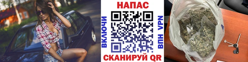 Шишки марихуана сатива  где продают   даркнет телеграм  Новоаннинский 
